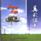 江都市真武镇志 2005    PDF电子版