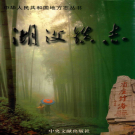 宜兴市湖父镇志 1999    PDF电子版