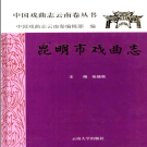 《昆明市戏曲志》2001 PDF电子版