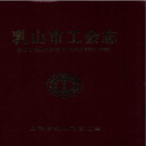 乳山市工会志 1941-2005 PDF电子版