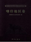 第三次全国文物普查成果集成：喀什地区卷 PDF电子版下载
