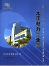 《元江电力工业志》_元江电力公司编_PDF电子版下载