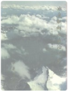 延边朝鲜族自治州志   上下册     1996年版        PDF电子版下载