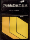 泸州市煤炭工业志           1994年版             PDF电子版下载