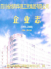 四川省绵阳华晟工贸集团有限公司企业志(1991-2000)             2001年版             PDF电子版下载