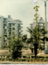 宜昌市房地志              1992年版              PDF电子版下载