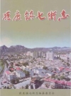 鹿镇七街志_2016版_PDF电子版下载