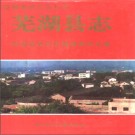 安徽省芜湖县志.pdf下载